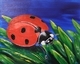 10x8 Ladybug