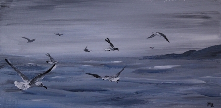 12x6 Cajky Seagulls