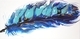 12x6 Feathers - Blue III