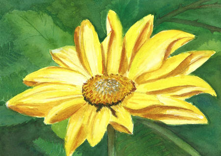 Wild sunflower 7x5